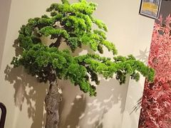 -巴渝人家重庆火锅(东方广场店)