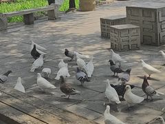 -中国翰园碑林
