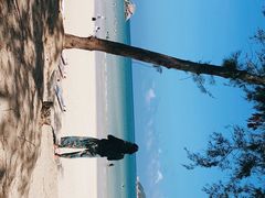 -后海村