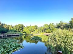 -上海吴淞炮台湾国家湿地公园