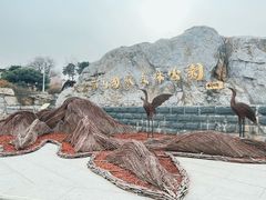 -北京西山国家森林公园