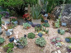 -中国科学院华南植物园