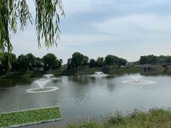 -尚庄度假村·庭台树下·户外烧烤·团建CS·轰趴营地(上庄水库店)