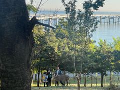 -星海湾跨海大桥