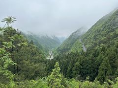 -娄山关景区