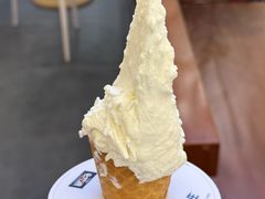 -野人先生Gelato(上海长宁龙之梦店)