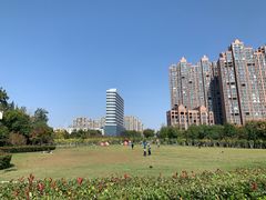 -沙澧河风景区