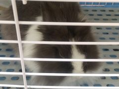 -山东嘉汇文化用品有限公司张店凤凰国际分公司(新村西路店)