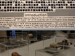 -北京周口店北京人遗址博物馆