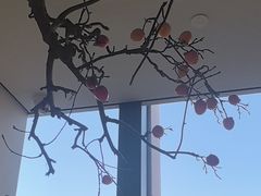 -杏花堂晋商私房菜(华熙五棵松店)