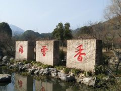-香雪海