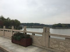 -昆山城市生态森林公园