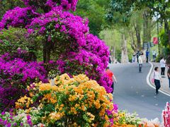 -广州市白云山风景名胜区