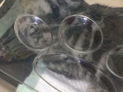 -美联众合动物医院·24h转诊中心