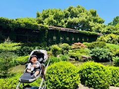 -中国茶叶博物馆(双峰馆区)