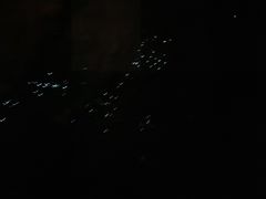 -怀托摩萤火虫洞