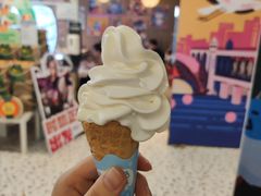 榴莲冰淇淋-盒马鲜生(富田新天地店)