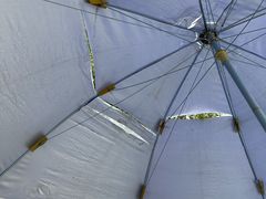 -虹口漂流