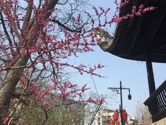 -阳明祠