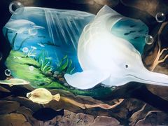 -白鹤梁水下博物馆