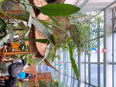 -上海大自然野生昆虫馆(东方明珠·爬宠昆虫探索中心)