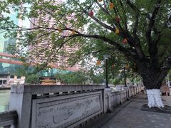 -孙文西路步行街
