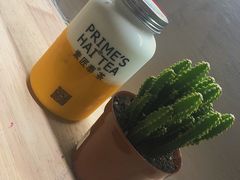 -素匠泰茶(三里屯SOHO工体奶茶店)