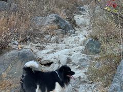 -北京西山国家森林公园