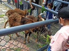 -长白岛森林公园