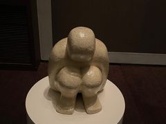 -上海柏悦酒店