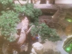 -顺峰(农展馆店)