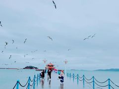 -栈桥景区