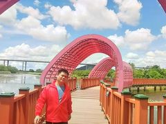 -芒洲湿地公园