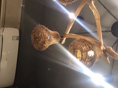 -77号渔船·蒸海鲜青岛菜(积米崖店)