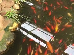 -北戴河集发农业梦想王国