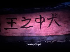 -SFC上影百联影城(川沙IMAX店)