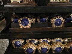 -哈利波特魔法世界