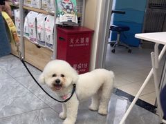 -美联众合爱康动物医院•复杂内科•肿瘤科•牙科•腔镜诊疗中心