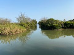 -大湾区中央湿地公园