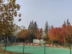 -前小桔亲子创意农场·草莓采摘·露营烧烤