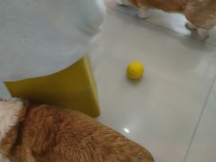 -平行世界·猫咖(首经贸店)