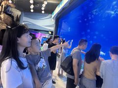 -烟台海昌鲸鲨海洋公园