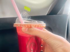 -油梨树 AVOCADO TREE(亮马桥店)