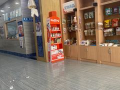 -瑞派名望志远动物医院·猫科·內科·异宠专科(直港大道店)