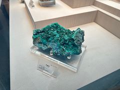 -湖南省地质博物馆