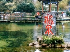 -靖西鹅泉风景区