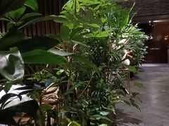 -成都钓鱼台精品酒店-品聚·成都餐厅