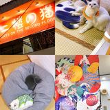 安阳探店｜安阳首家猫咖☕️二楼的猫🐱