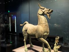 -广西壮族自治区博物馆