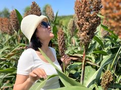 -三圣花乡旅游区